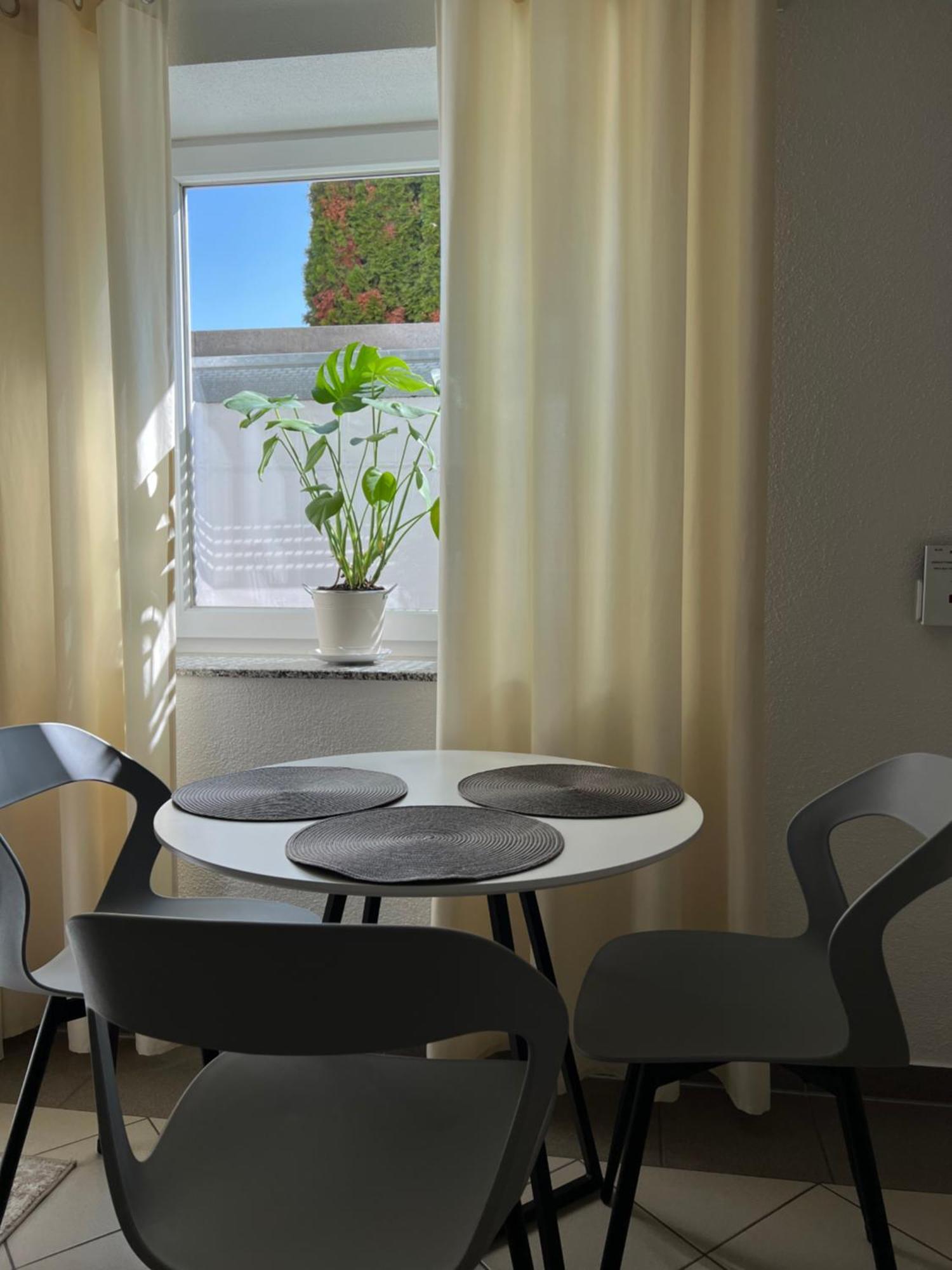 Einzimmer Apartment ニーフェルン・エーシェルブロン エクステリア 写真